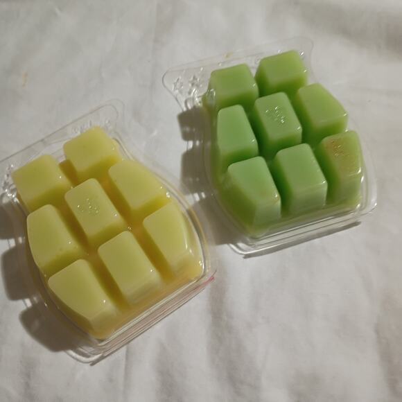 Scentsy Bar ROSEMARY MINT 3.2 oz Authentic(Set of 2) scented wax - Picture 3 of 3